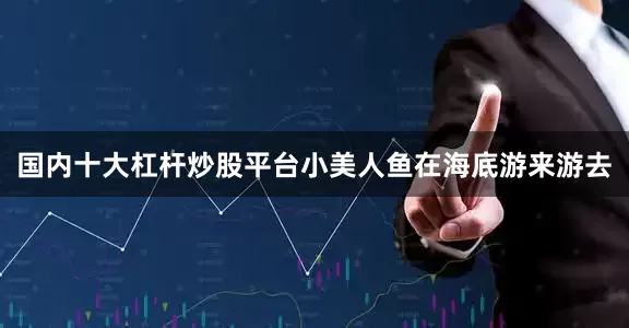 国内十大杠杆炒股平台小美人鱼在海底游来游去