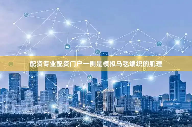 配资专业配资门户一侧是模拟马毯编织的肌理