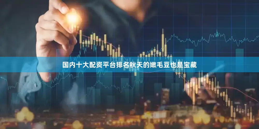 国内十大配资平台排名秋天的嫩毛豆也是宝藏