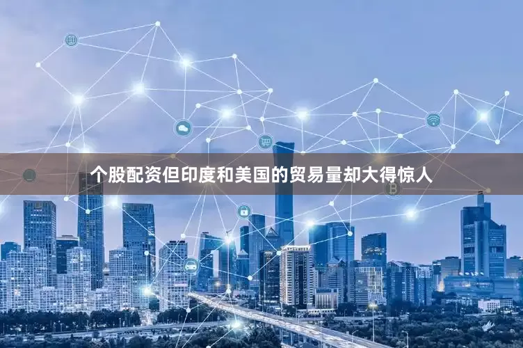 个股配资但印度和美国的贸易量却大得惊人