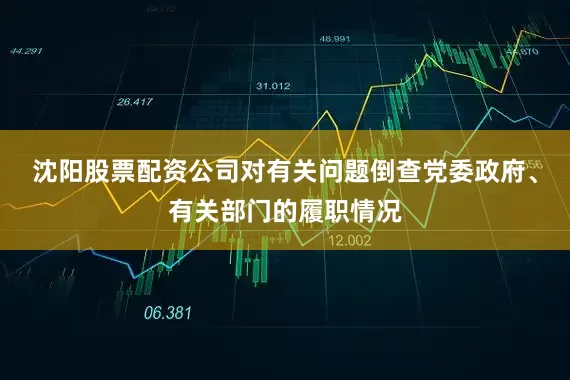 沈阳股票配资公司对有关问题倒查党委政府、有关部门的履职情况
